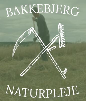 Bakkebjerg Naturpleje